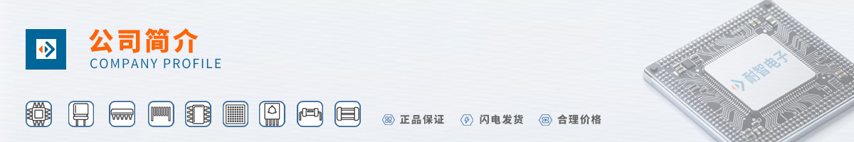 Realtek(����)��˾����