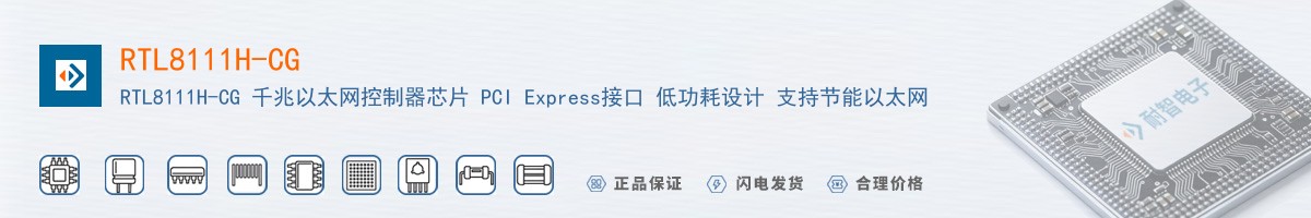 RTL8111H-CG������