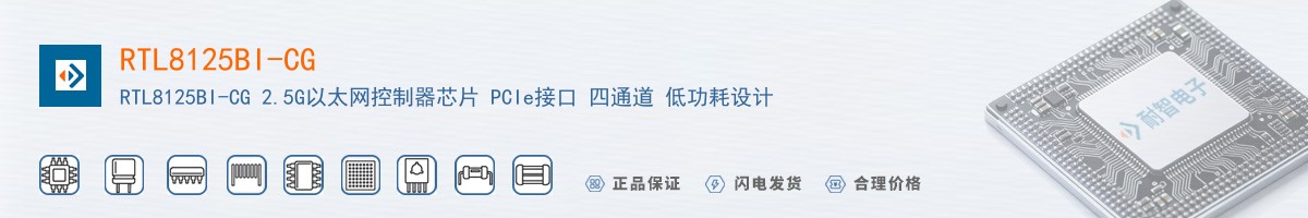 RTL8125BI-CG������