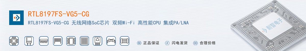 RTL8197FS-VG5-CG������