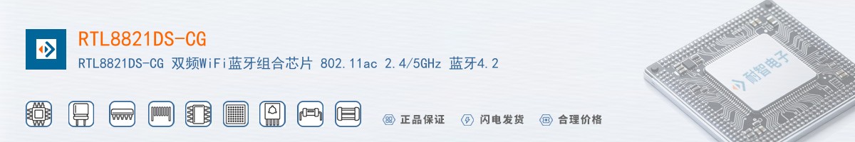 RTL8821DS-CG������